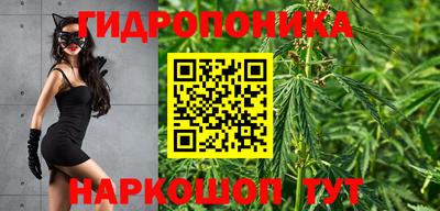 мяу мяу мука Комсомольск-на-Амуре