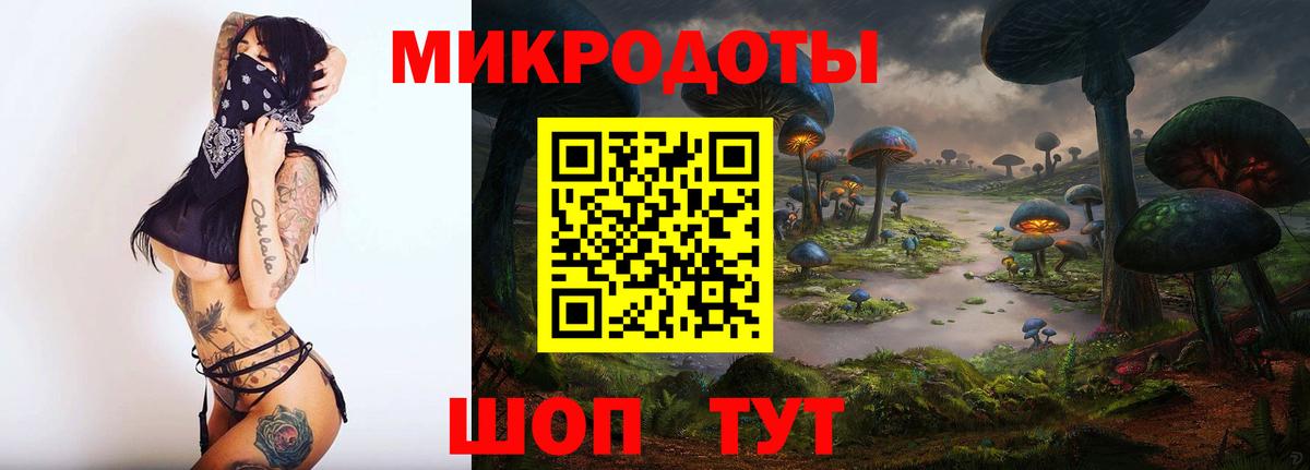 Камышлов  Галлюциногенные грибы Magic Shrooms  Вход с VPN  Псилоцибиновые грибы MAGIC MUSHROOMS 